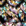 Multicolore