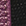 Multicolore
