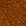 Noisette