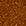 Noisette