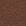 Noisette