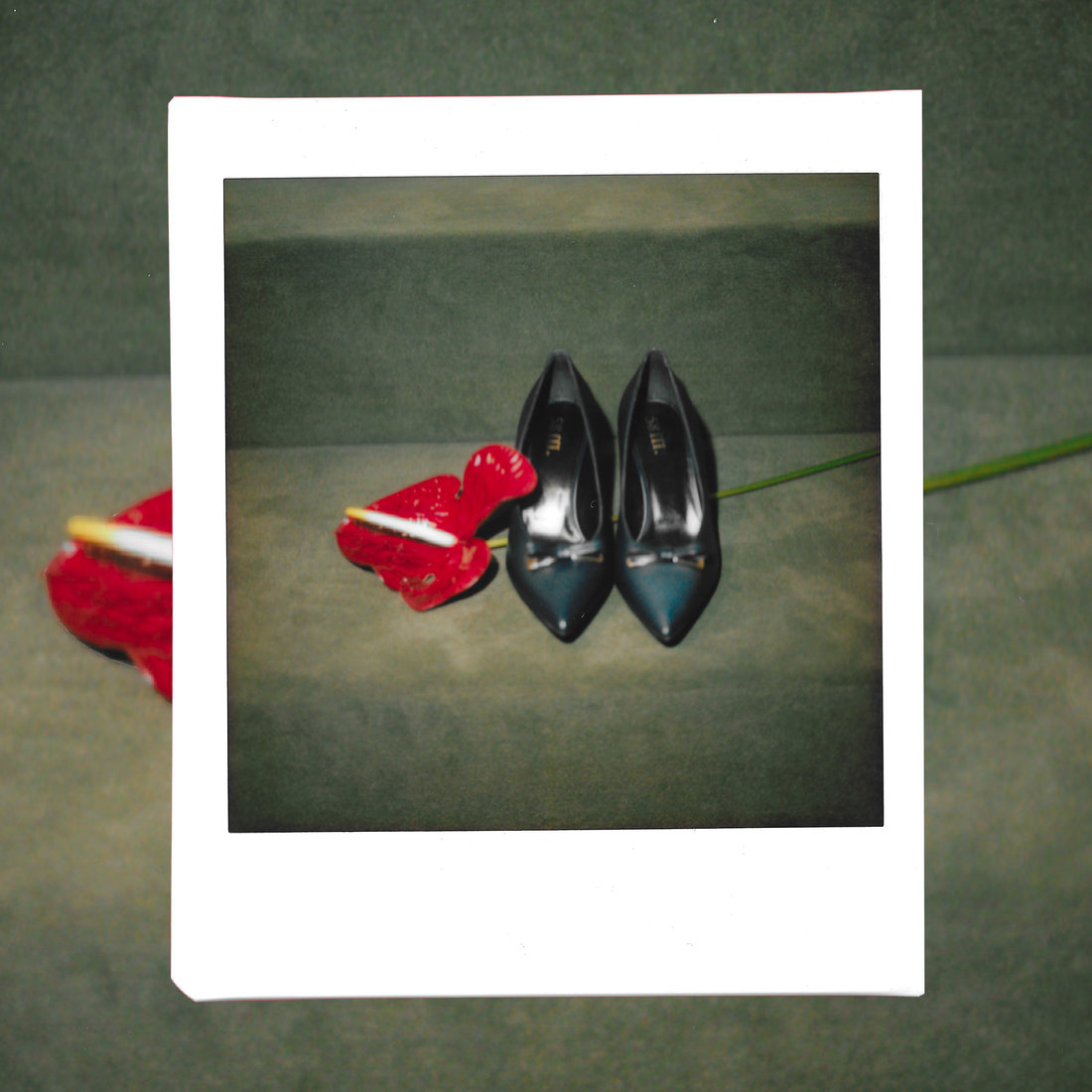 Polaroid, escarpins 58m